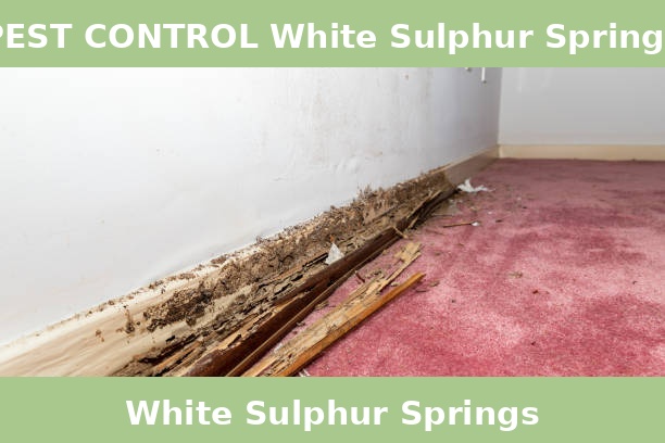 PEST CONTROL White Sulphur Springs